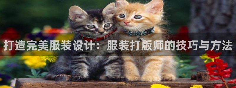 谈球吧APP