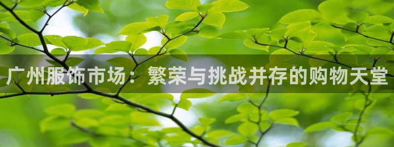 谈球吧体育app官网下载安卓