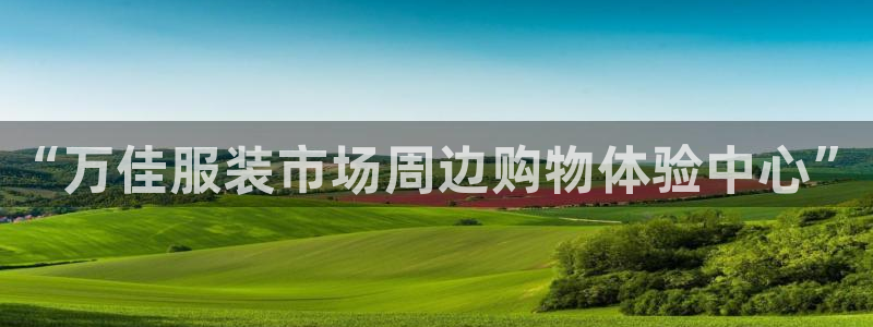 谈球吧网页版