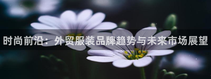 谈球吧咋样