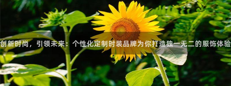 谈球吧官网入口在线观看