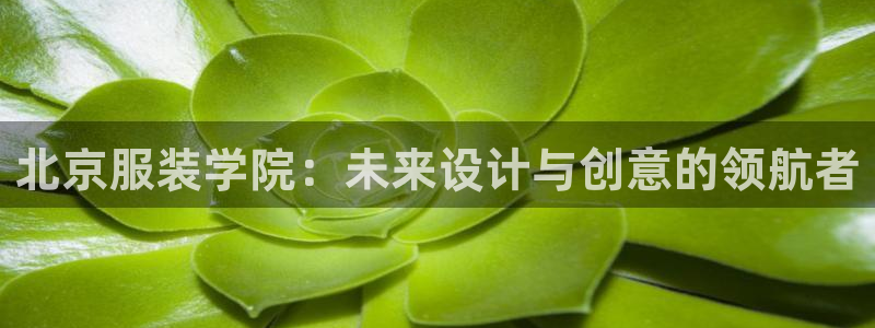 谈球吧体育官网在线入口免费观看