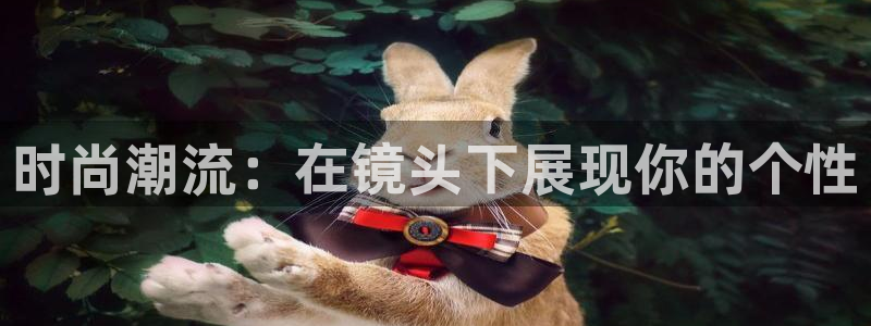 谈球吧体育app下载足球直播视频