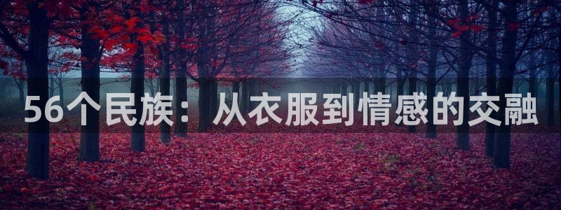谈球吧是否诈骗