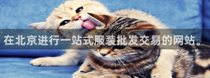 谈球吧app下载ios