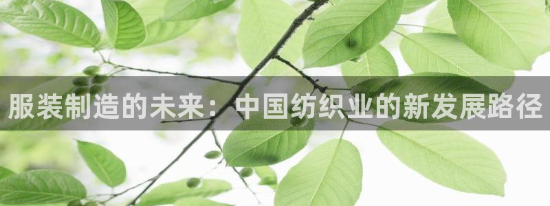 谈球吧官网在线入口手机版免费