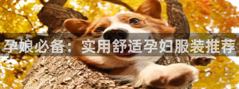 谈球吧体育官方入口