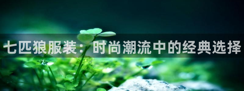谈球吧APP开元