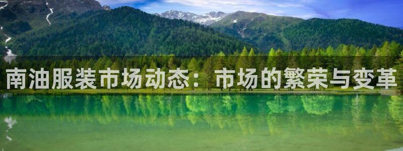 谈球吧体育app登陆入口：南油服装市场动