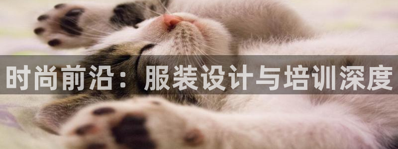 谈球吧真人