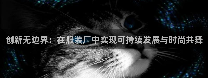 谈球吧体育官网入口