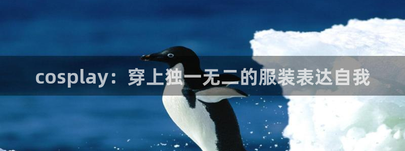 谈球吧体育