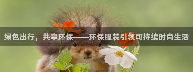 谈球吧体育app下载官网苹果