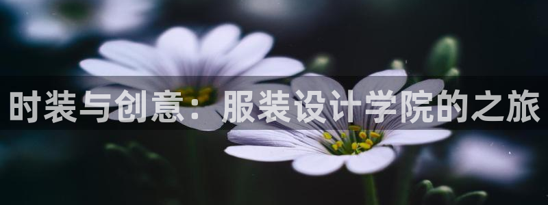 谈球吧官网登录