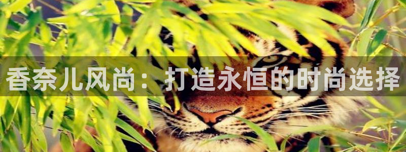 谈球吧app赛事分析在哪里看