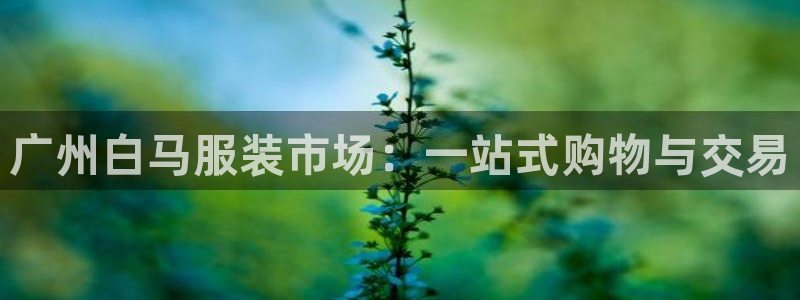 谈球吧app赛事分析报告