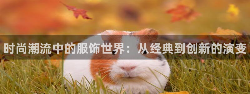 谈球吧买球是正规的吗