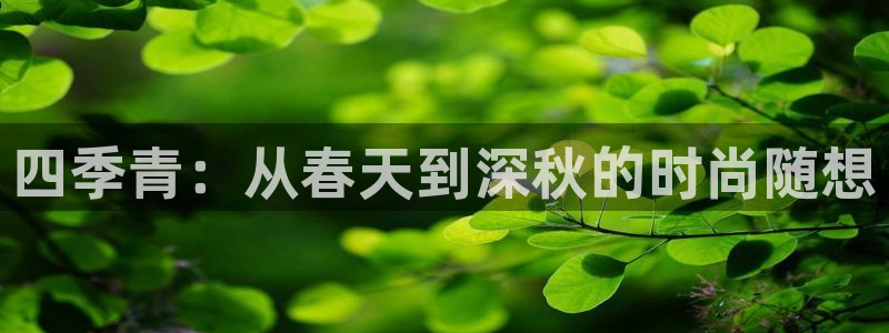 谈球吧app赛事分析报告模板