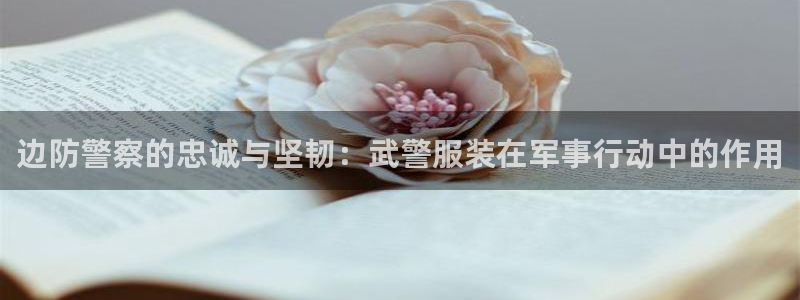 谈球吧体育官网在线入口免费观看