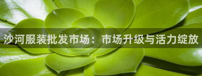 谈球吧体育