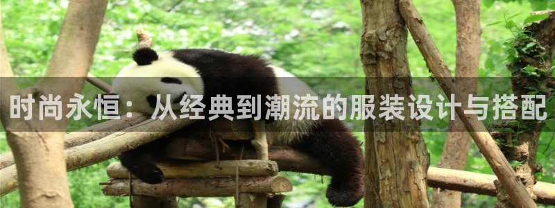 谈球吧的聊天软件有哪些