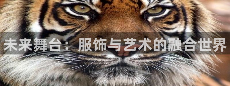 谈球吧的聊天软件叫什么
