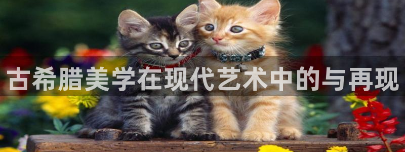 谈球吧首充金额截图