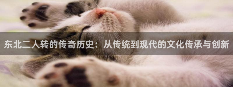 谈球吧打不开了