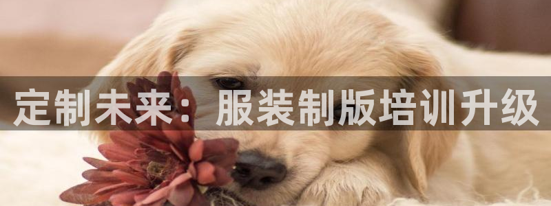 谈球吧体育app下载中心官网苹果