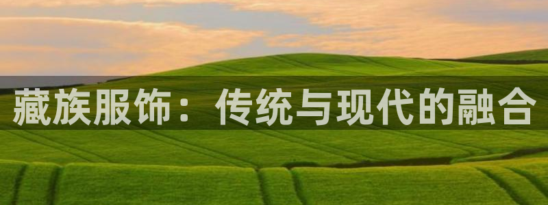谈球吧官网入口在线观看