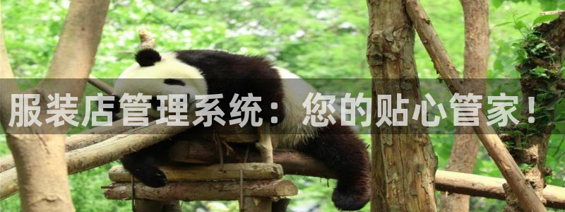 谈球吧体育在线