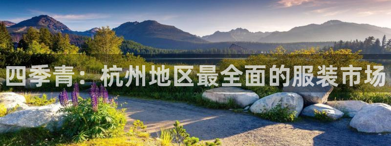 谈球吧体育app登陆不上