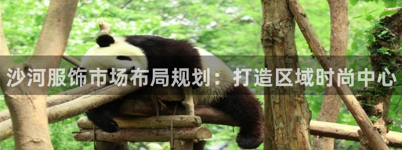 谈球吧与普通平台对比