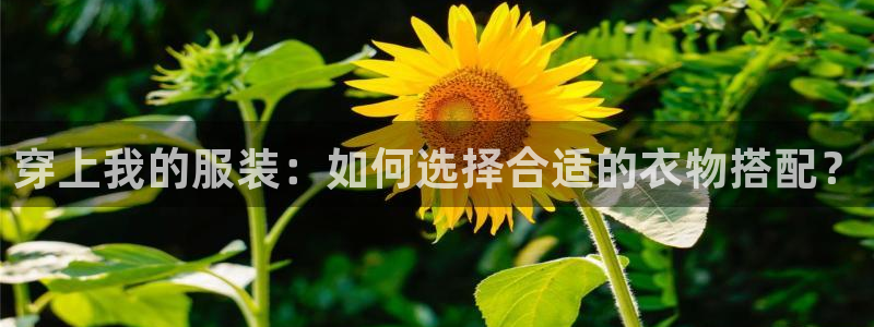 谈球吧娱乐app下载官网苹果版