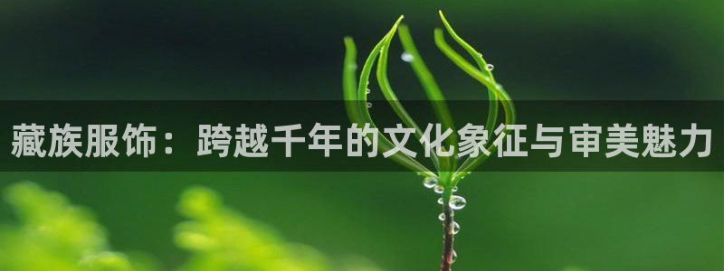 谈球吧的聊天软件叫什么名字