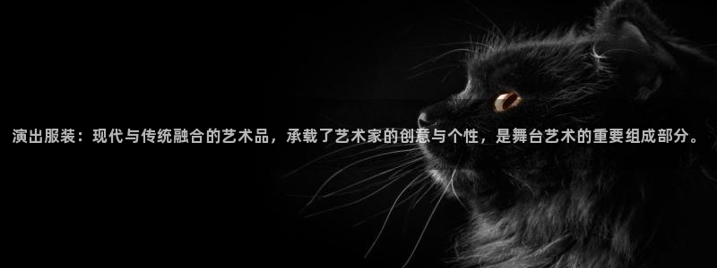 谈球吧app在哪里下载：演出服装：现代与