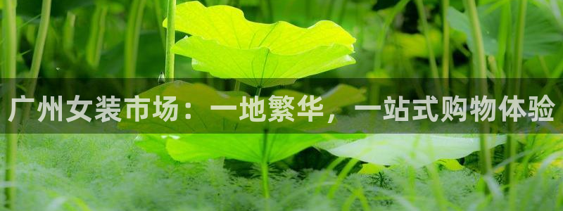 谈球吧红包激活码