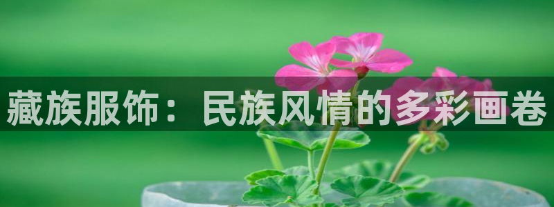 谈球吧属于哪个旗下的品牌