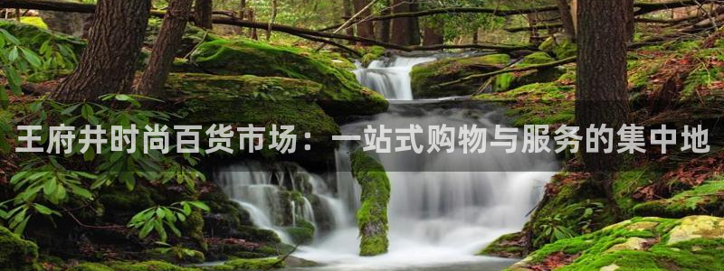 谈球吧官网app
