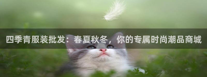谈球吧算违法行为吗
