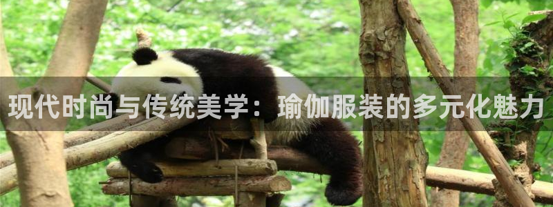 谈球吧官网在线入口免费观看视频