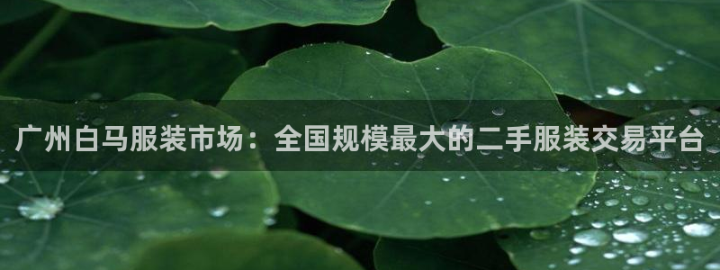 谈球吧体育官网在线入口免费观看