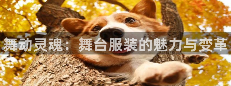 谈球吧体育app下载中心官网