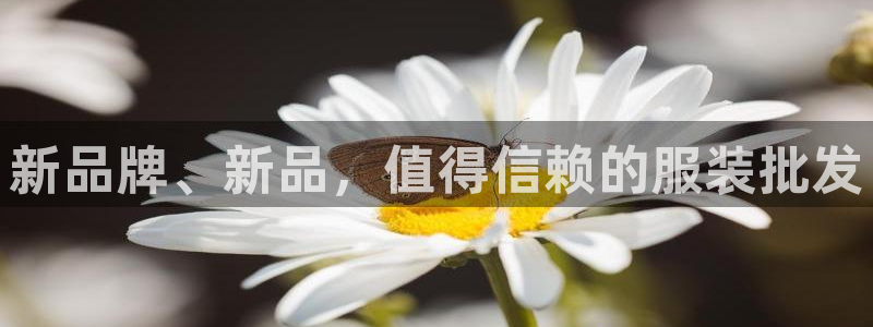 谈球吧最新APP下载